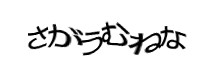 認証画像